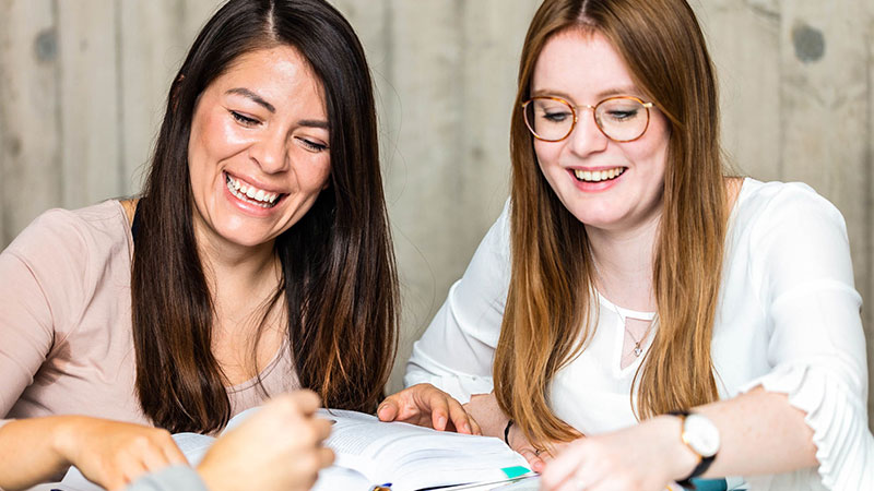 instructional designers developing learning paths