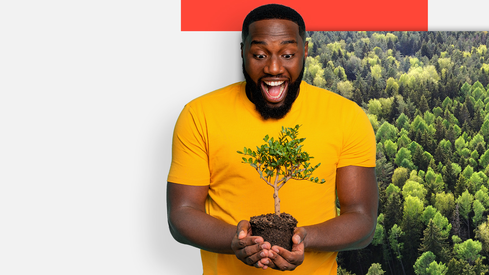 Ökologische Nachhaltigkeit