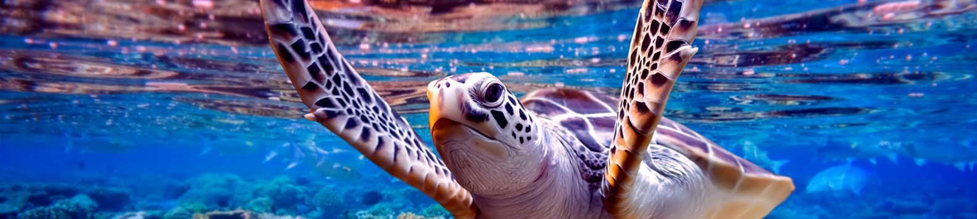 Breaker Green Climate Fund