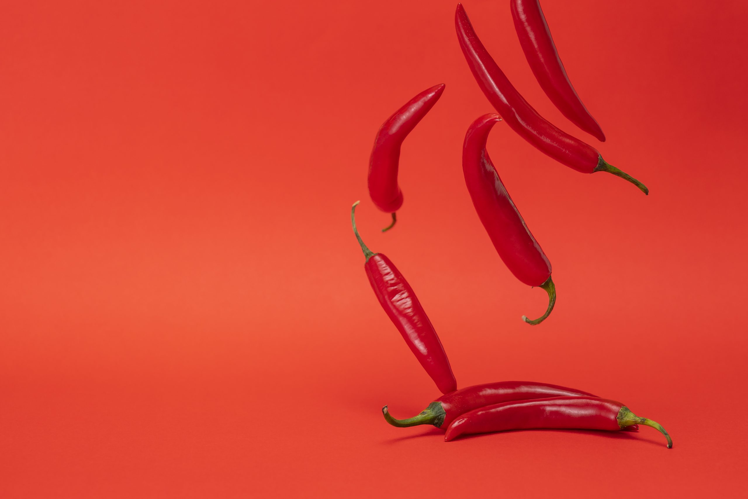 lms hot topics E-Learning Glossar