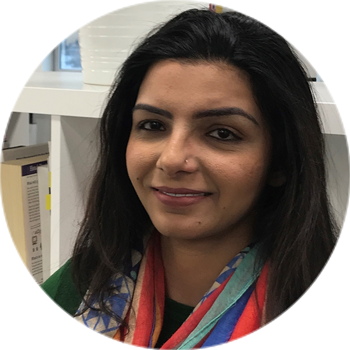 job-slot software developer