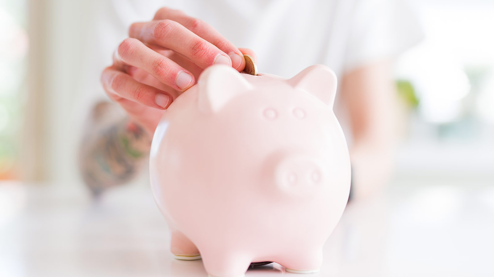 punk readiness check