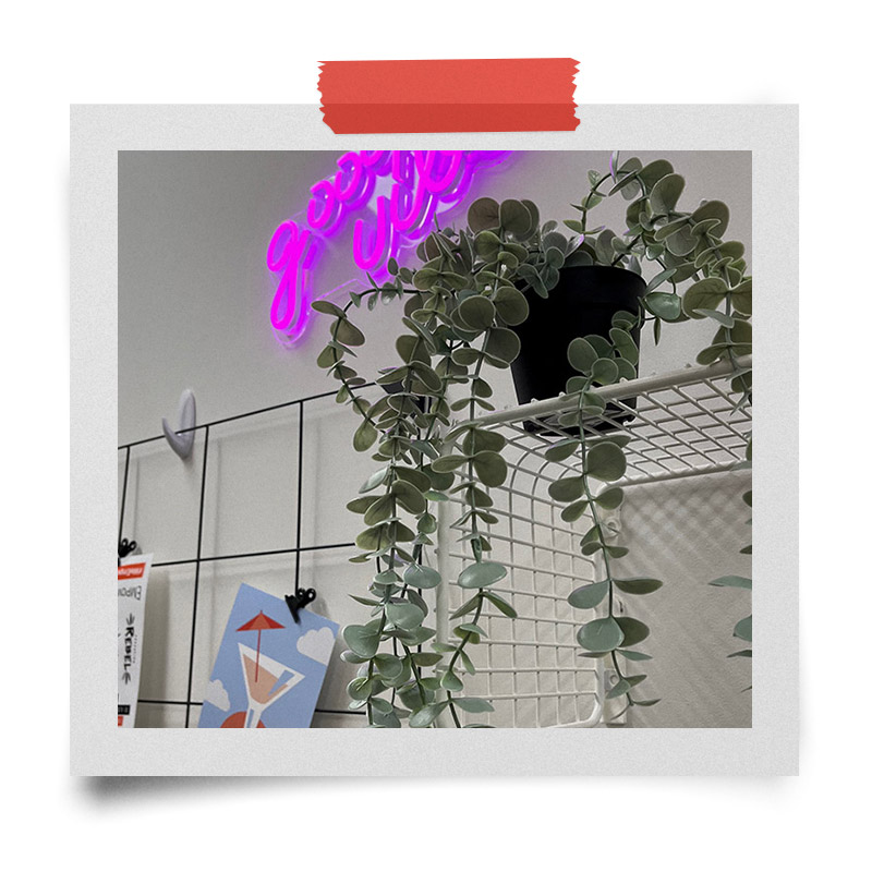 imc Office Australia